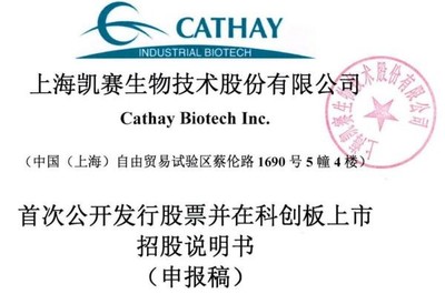 凱賽生物IPO:存在安全生產風險,曾深陷專利糾紛,票據流轉、轉貸等違規不斷