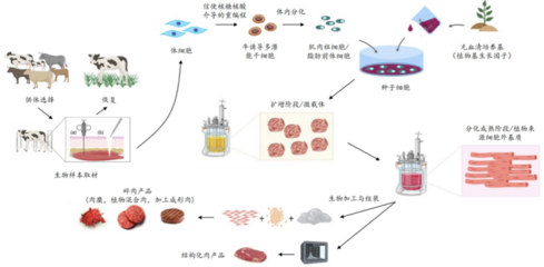 226起投融資、52個(gè)過億項(xiàng)目.食品飲料行業(yè)有哪些潛力賽道值得挖掘?